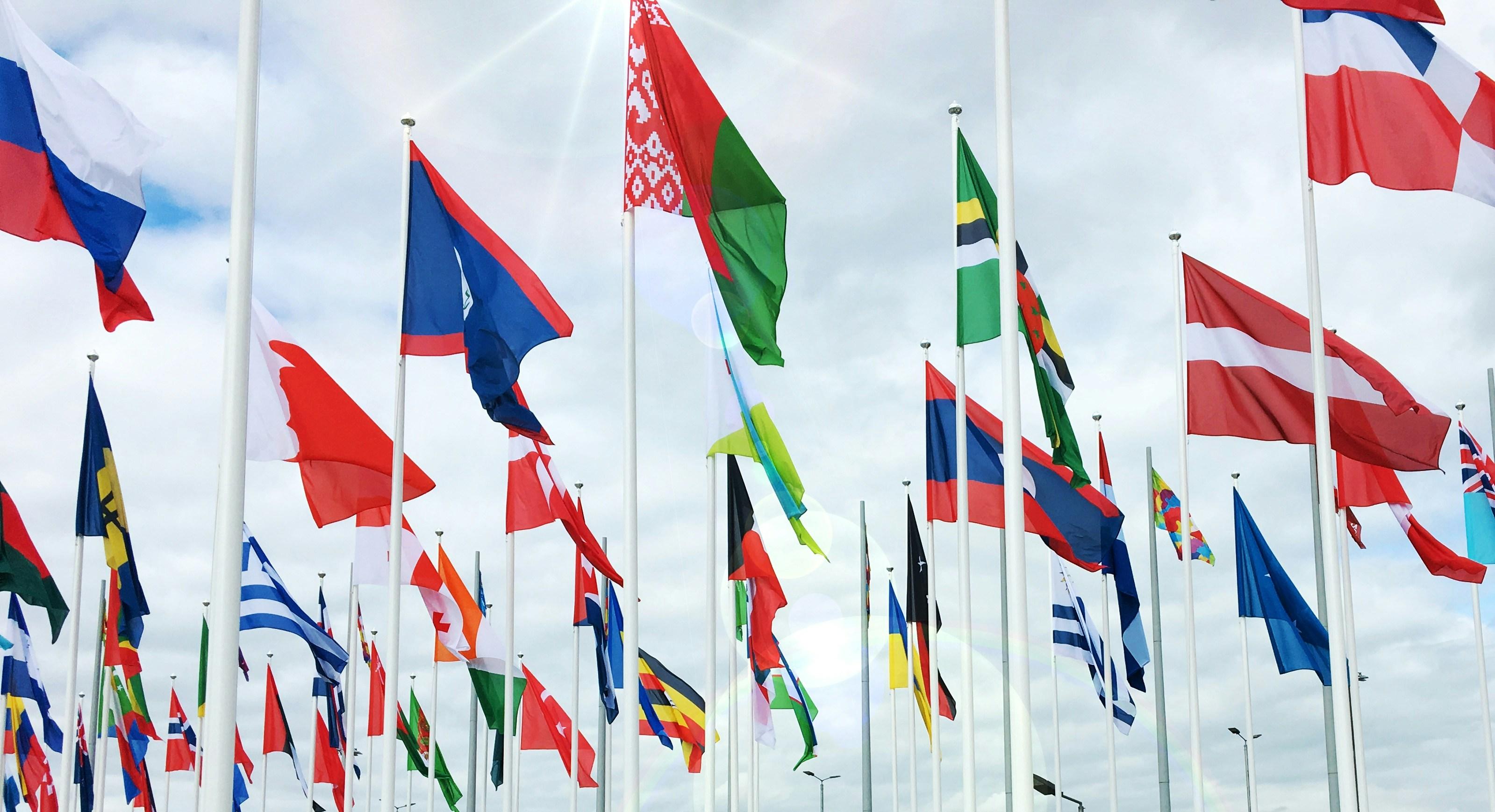 Flags1